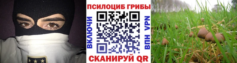 Псилоцибиновые грибы мицелий  omg ONION  Сольцы 